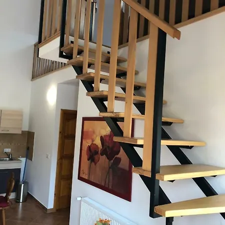 S'schnoganeschd Holiday home Nemesvid