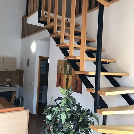 Holiday home S'schnoganeschd